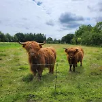 Appartamento Plaggenburg- Kleine Grosse *